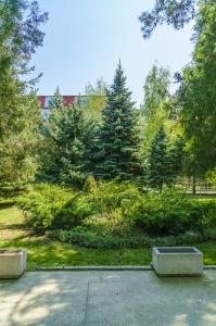 Sanatorium Rodnik Anapa - 21
