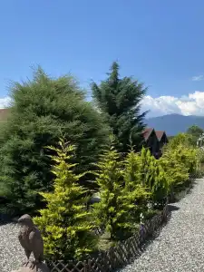 Slavitsa - 58