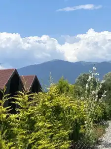 Slavitsa - 59