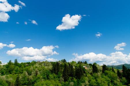 Bagrat Guest House - 41