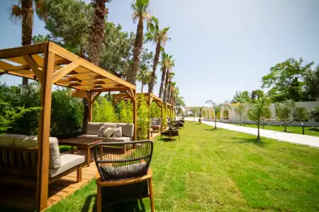 Rose Garden Premium - 20