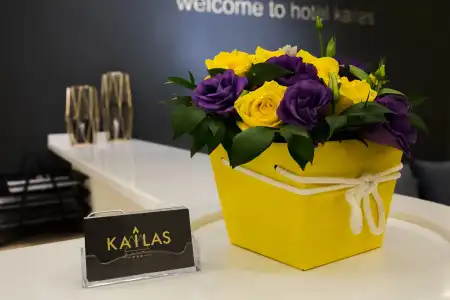 Kailas - 3