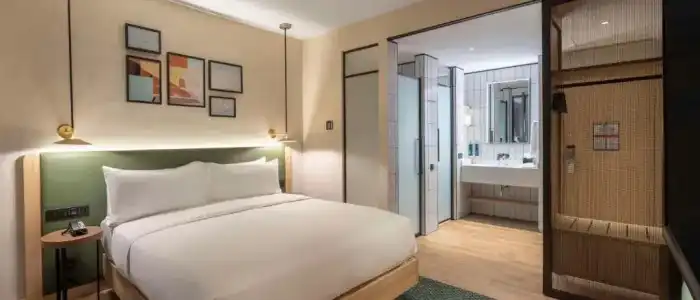 Hilton Garden Inn Tbilisi Riverview - 50