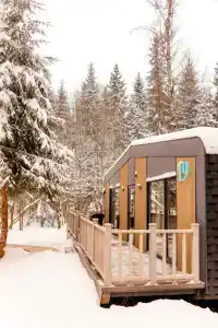 Neshalashi Lesnoy - 140