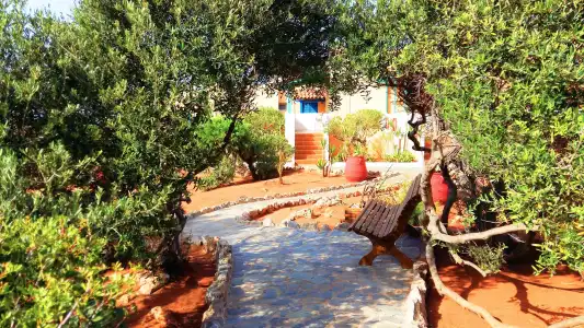 Zorbas Beach Village - 29
