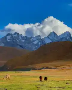 Kel-Suu Kyrgyzstan Yurt Camp - 27