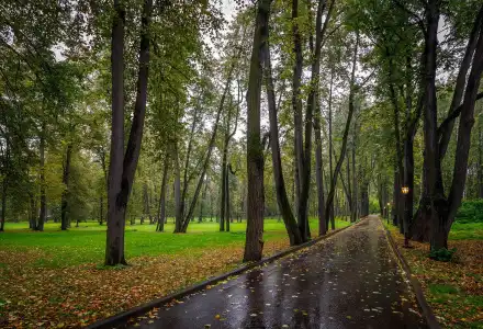 Volynskoye Congress Park - 38