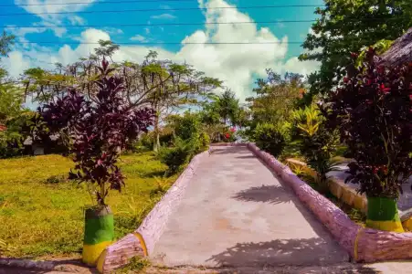 Zanzi Rest Bungalow - 19