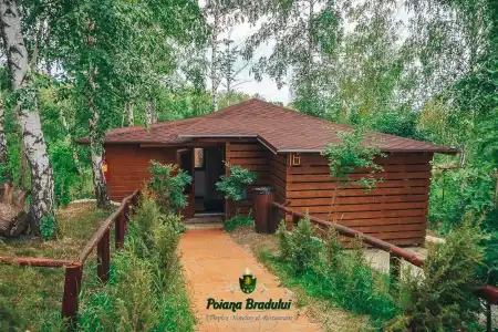 Poiana Bradului Complexier & Restaurant Resort - 55