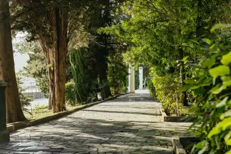 Amra Park-& Spa - 21