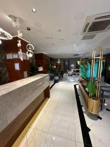 Grand Hamit Airport - 6