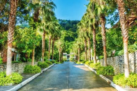 Club Wyndham Patong Hill Phuket - 43