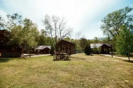 Zagorodny Klub Kura Tse Tse - 64