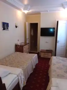 Dyuna Mini-Hotel - 10