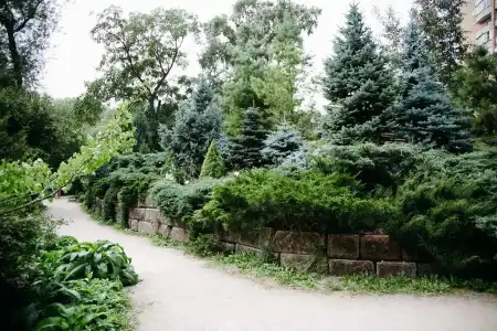 Garden Embassy - 19
