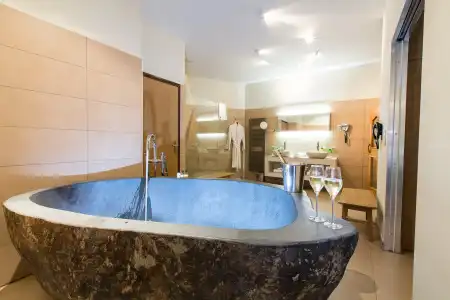 Hôtel Spa Marotte - 68