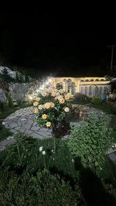 Amrots Deghceni - Boutique Castle Stay - 15