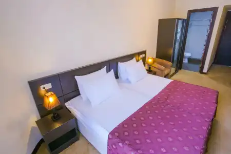 Ani Central Inn - 18