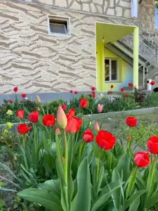 Sun House Guest house - 40