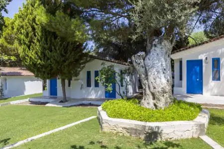 Risus Garden Marina - 11