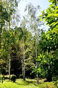 Uzbekistan Sanatorium - 7