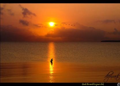 Mediterraneo - 14