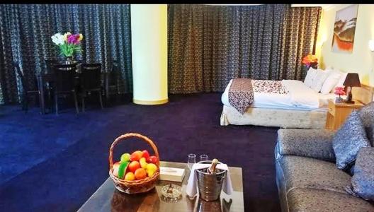 Phoenicia Tower&Spa - 27