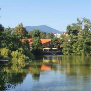 Ozero Divnoe Park-Hotel - 5