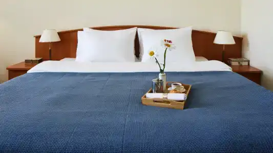 Izmailovo Gamma - 33