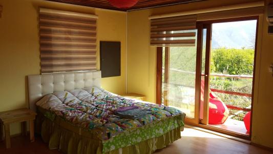 Sun Dalyan & Yeni Adet Organic - 0