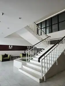 Forest - 2