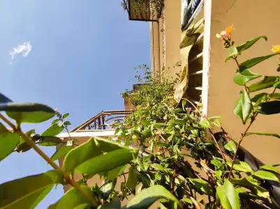 Adilet Guest House - 6