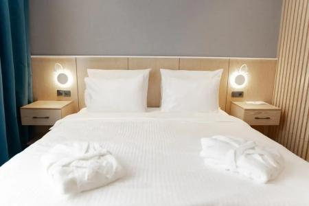 Park Dedeman Almaty - 37