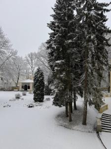 Kochubey-Center - 45