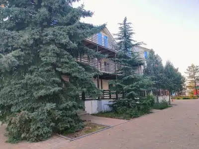 Uralskie Samotsvetyi - 2