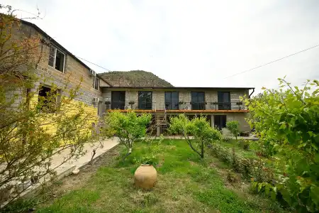 Areni Wine Art - 3