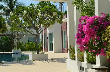 The Beach Village Resort - 9
