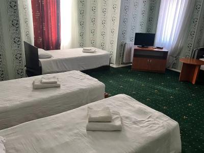 Hayat Inn - 16