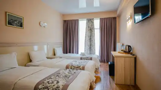 Gudauri Inn - 44