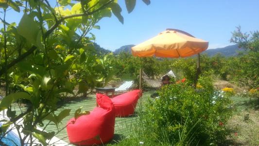 Sun Dalyan & Yeni Adet Organic - 80