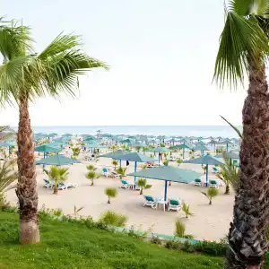 Paloma Oceana - 20