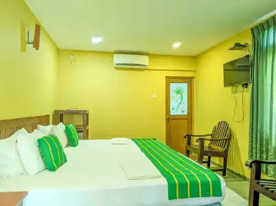 Golden Wild Yala - 25