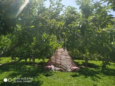Edema B&B Guest House - 19