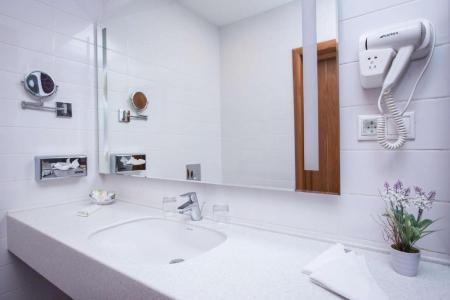 Best Western Plus Centre - 110