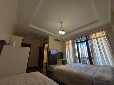 Travel Inn Bakuriani - 50