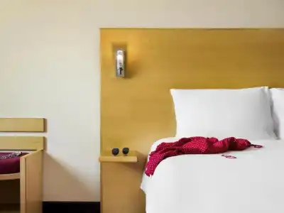 Ibis Muscat - 40