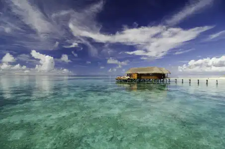 V Villas Maldives at Mirihi - MGallery Collection Resort - 15