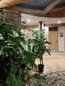 Marosejka 2/15 - 10