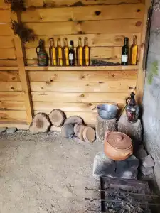 Dioscuria Borjomi Guest House - 16