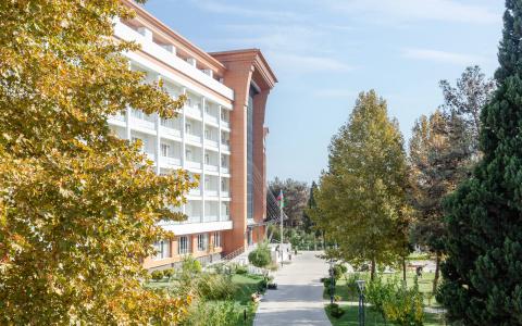 Chinar Health Naftalan - 14